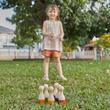 Bowling szett - Plan Toys