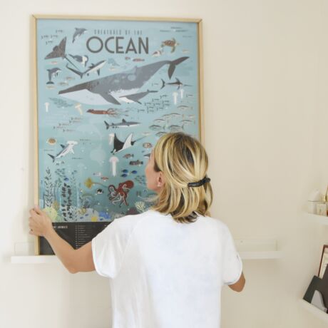 Kreatív, fejlesztő óriásplakát, 59 matricával - Óceán - Poppik